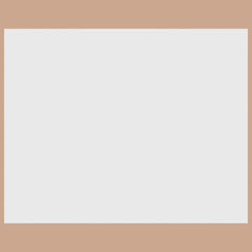 9156 Premium Interior Film – Solid colors